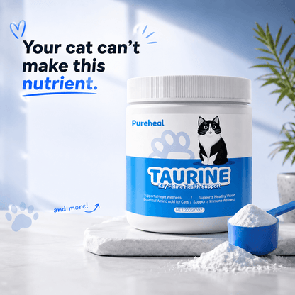 What Your Cat's Diet Is Missing (Copy)