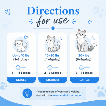 What Your Cat's Diet Is Missing (Copy)