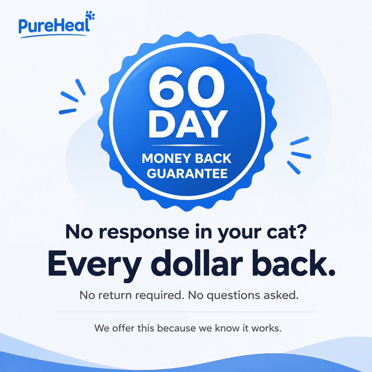 What Your Cat's Diet Is Missing (Copy)