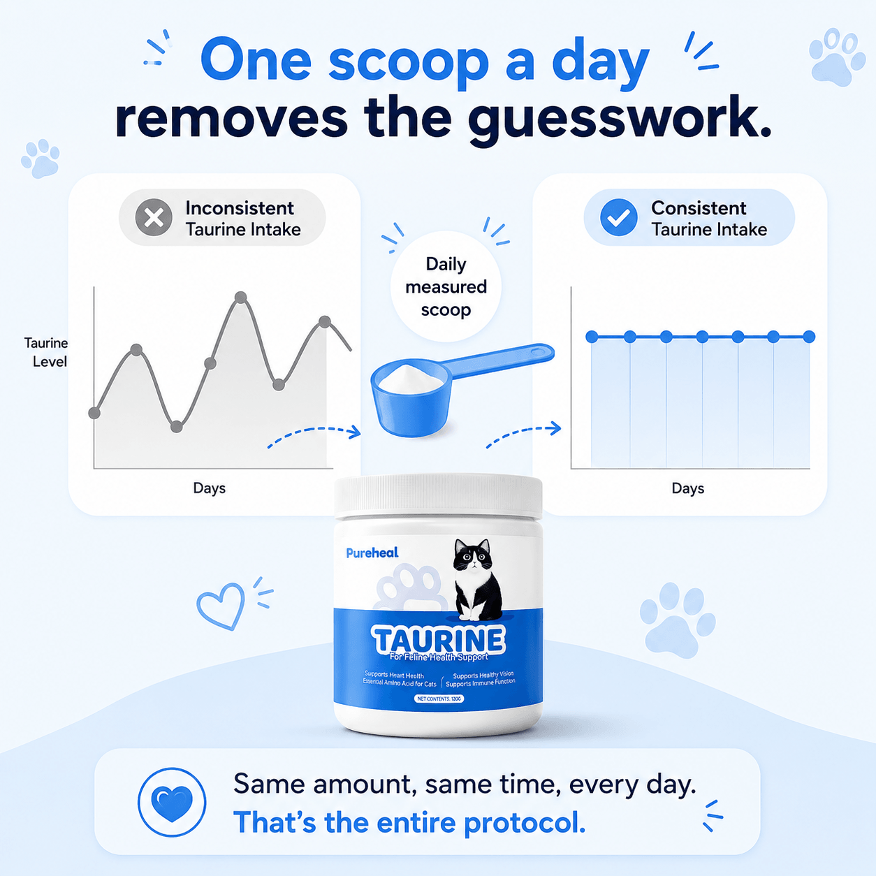 What Your Cat's Diet Is Missing (Copy)