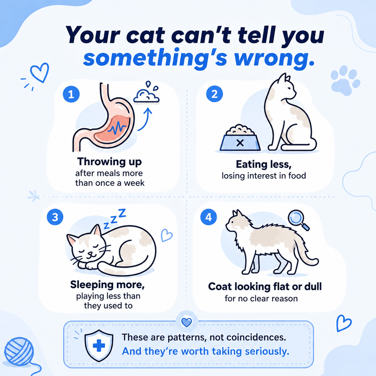 What Your Cat's Diet Is Missing (Copy)