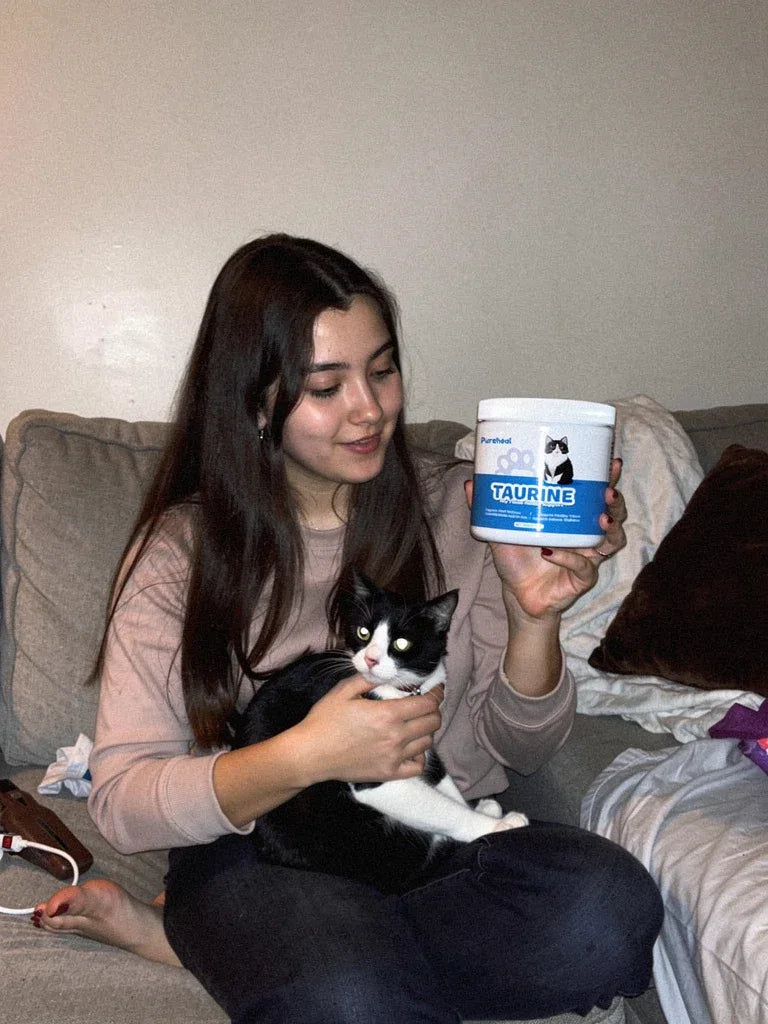 hf_20260215_113219_1c57de75-c91c-486f-a87b-98c117259a30 - Pureheal