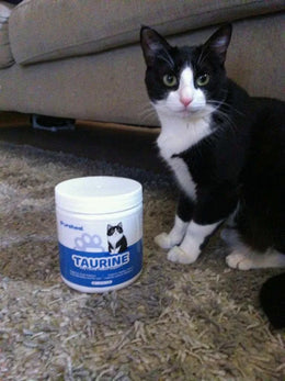 hf_20260224_134859_e9255c00-2da1-476b-b066-653bdedc4b10 - Pureheal