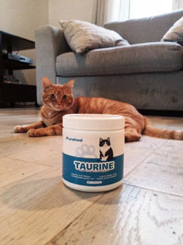 hf_20260224_143424_4ea3d574-e624-443a-8878-50f66f042f8a - Pureheal