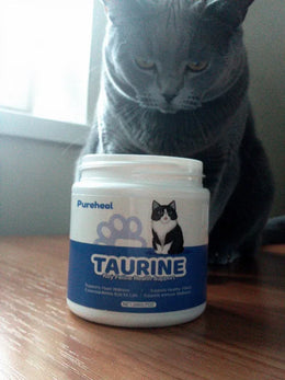 hf_20260224_143441_9ac7df3a-eb89-4051-822f-c26fe907aaad - Pureheal