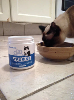 hf_20260224_144506_a066efa3-3bbd-4e6a-9680-25b13791f602 - Pureheal