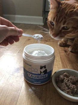 hf_20260224_150102_5185accd-bc51-4e76-bc12-9ec4e6884188 - Pureheal