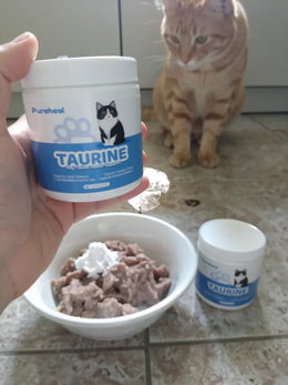 hf_20260224_150102_9a64465e-9b85-4892-962b-3006dd23b83b - Pureheal