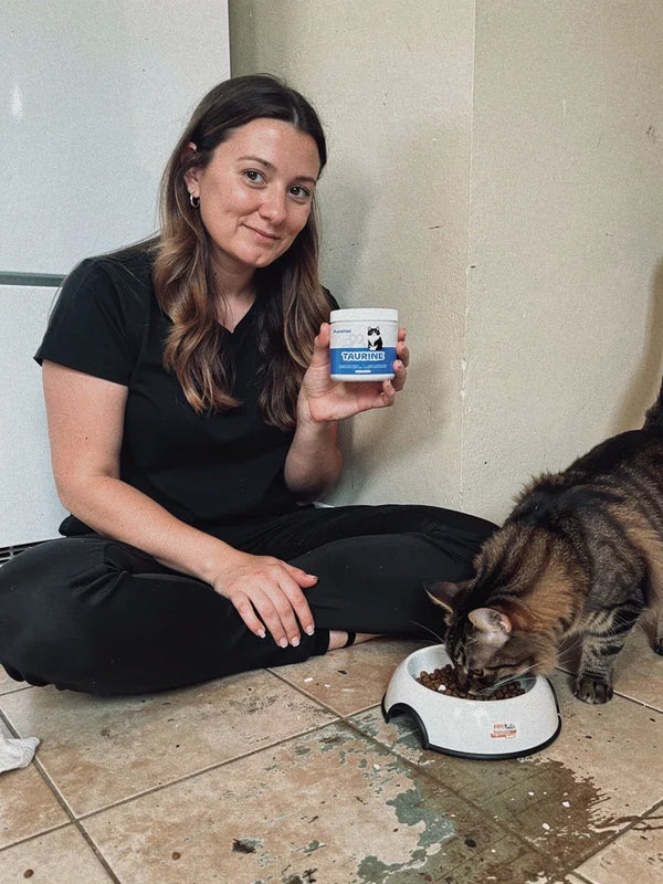 hf_20260226_103522_8a41ceb7-846a-4c05-91b4-6556d17f1043 - Pureheal