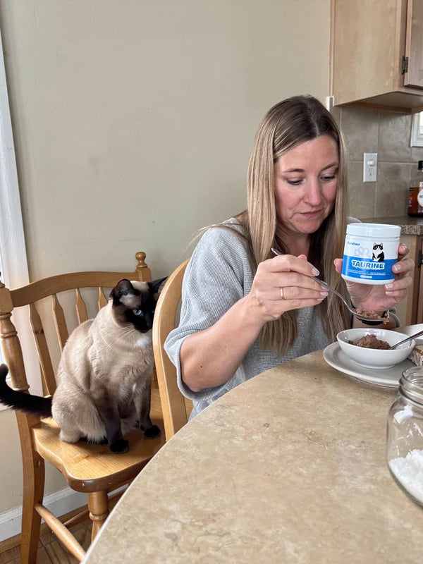 hf_20260226_104532_21cd1a93-8931-4968-aa10-ea1038b35a43 - Pureheal