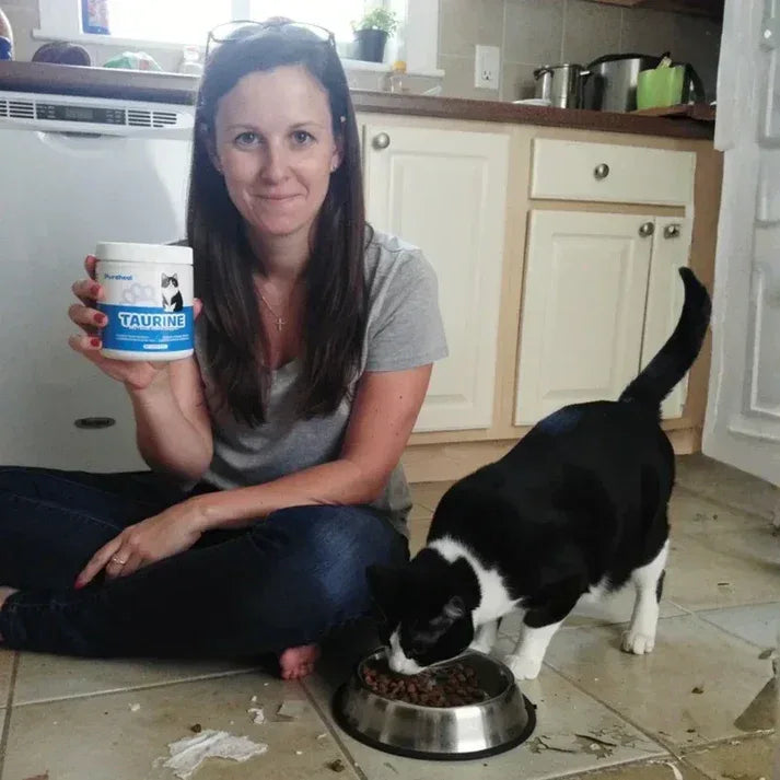 What Your Cat's Diet Is Missing (Copy)