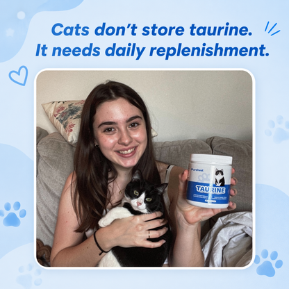 What Your Cat's Diet Is Missing (Copy)