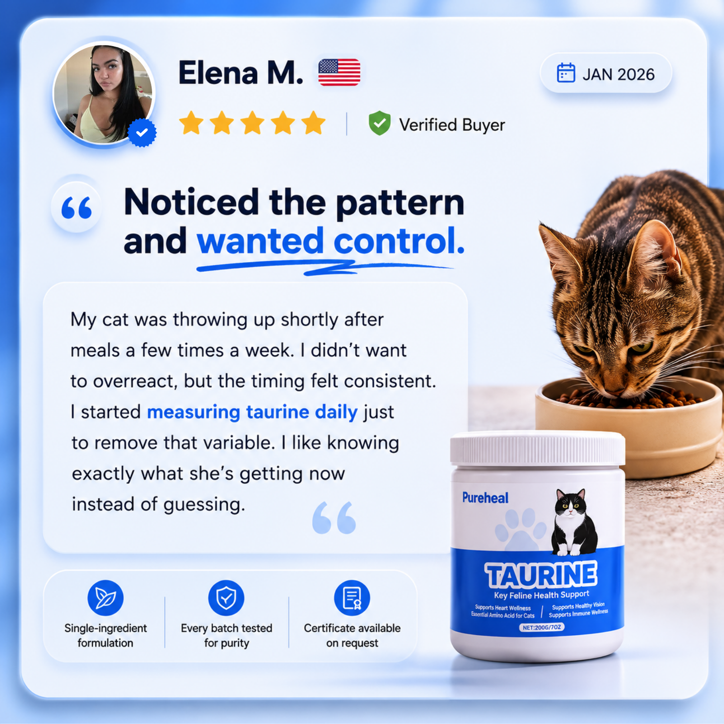 What Your Cat's Diet Is Missing (Copy)
