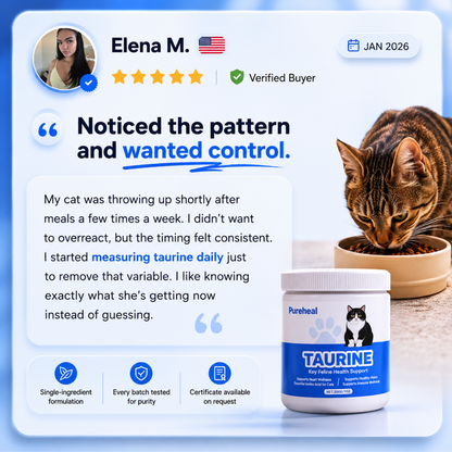 What Your Cat's Diet Is Missing (Copy)