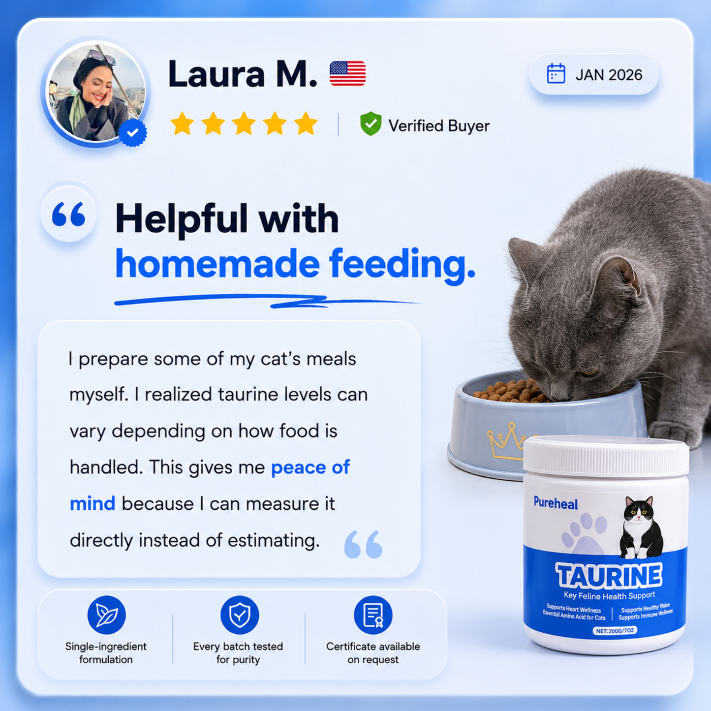 What Your Cat's Diet Is Missing (Copy)