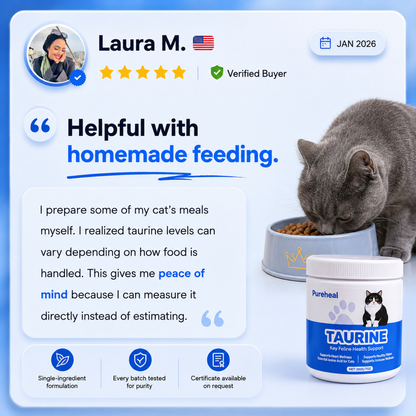 What Your Cat's Diet Is Missing (Copy)