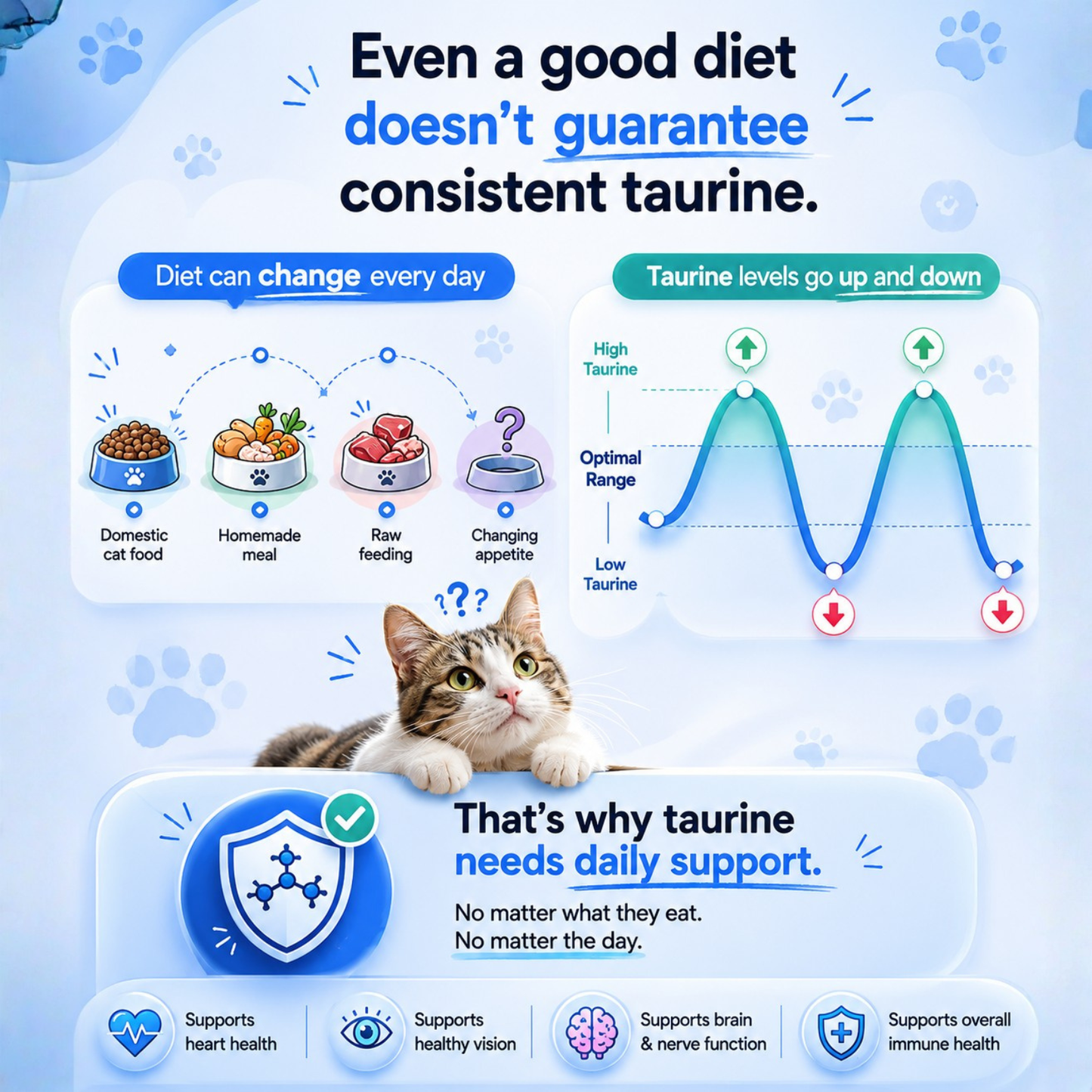 What Your Cat's Diet Is Missing (Copy)